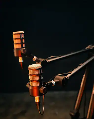 High-quality microphone on a professional studio stand for superior sound recording and broadcasting.